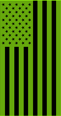 Vertical green American flag